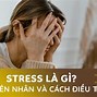 Reduce Stress Nghĩa Là Gì